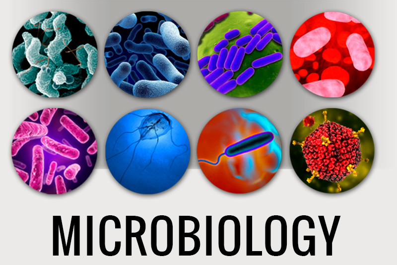 Microbiology